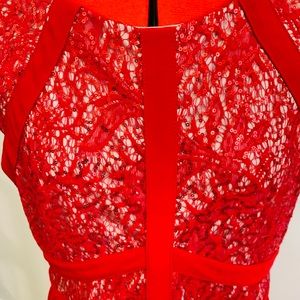 Beautiful Holiday Dress